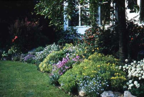 Barbara Bailey's flower garden